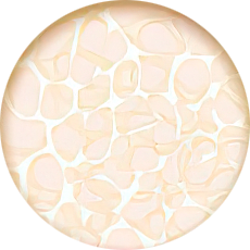 Kolagen pojiv&aacute; tk&aacute;ň