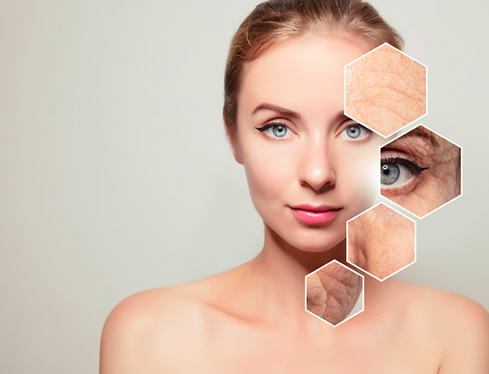 Kolagen a kr&aacute;sa